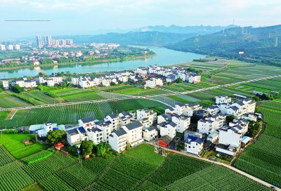 广西百色市田东县的乡村风貌