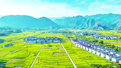 加快构建新发展格局 着力推动高质量发展 加快构建新发展格局 着力推动高质量发展