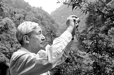 许智宏:翩翩江南客 依依草木情 许智宏:翩翩江南客 依依草木情