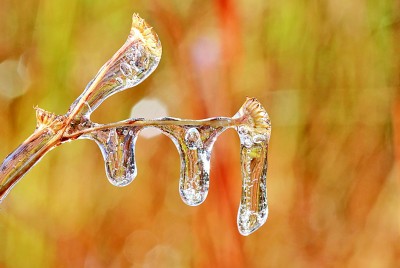 清晨瓦上雪微凝