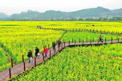 【大美中国】春游