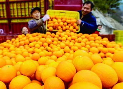 蹄疾步稳 全体人民迈向共同富裕