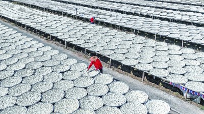 蹄疾步稳 全体人民迈向共同富裕