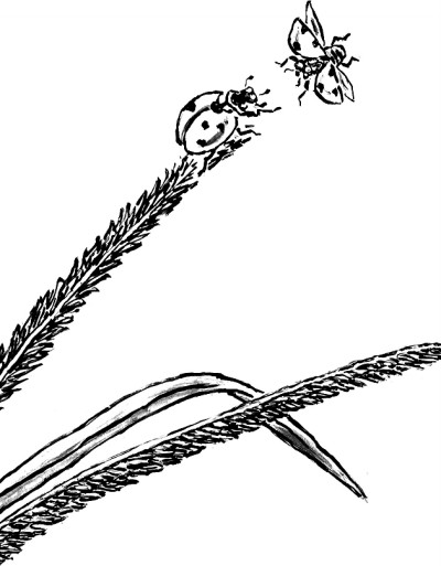 书写昆虫与人们相处的诗意时刻——评散文集《小虫子》 书写昆虫与人们相处的诗意时刻——评散文集《小虫子》