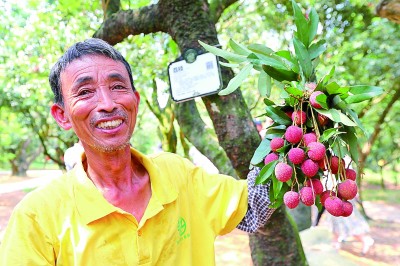 开放最前沿 风劲潮涌逐浪高