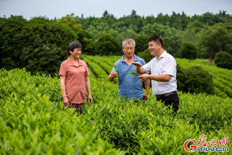 【大调研，我们在行动】苏皖两个相邻山村的岁月嬗变——关于乡村振兴的调研