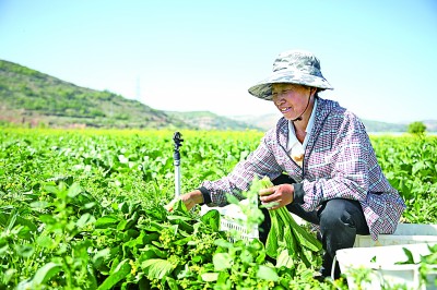 山河深处一片“新”