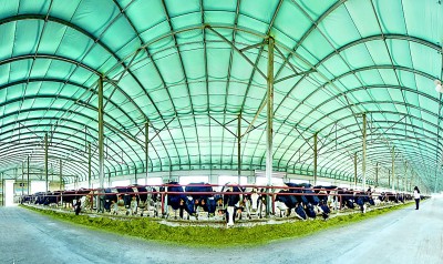 山川叠翠满目新——内蒙古通辽市打好绿色转型发展组合拳