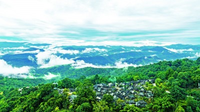 “普洱景迈山古茶林文化景观”申遗成功