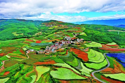 【大美中国】红土地上秋意浓