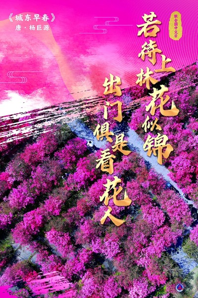 网络文艺绽放中华诗词的斑斓与风姿