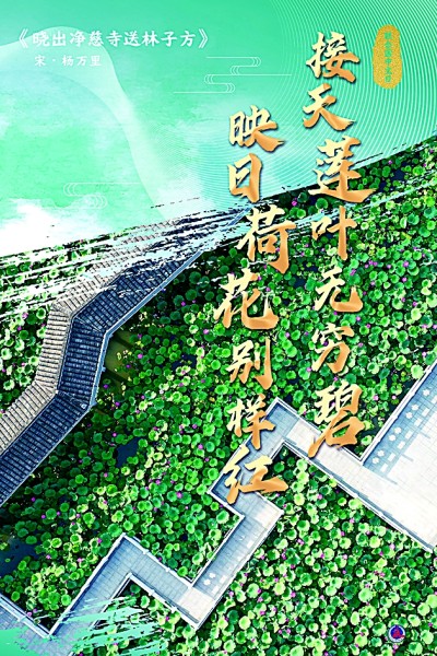 网络文艺绽放中华诗词的斑斓与风姿