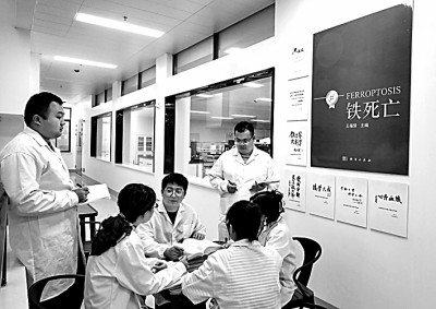 南华大学铁科学创新团队：在生命科学领域开辟崭新赛道