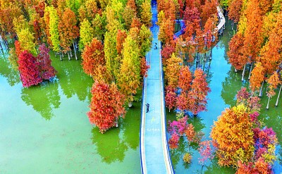 水光山色里 振兴路更宽