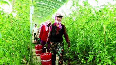 宁夏泾源：泾水之源 千山竞秀