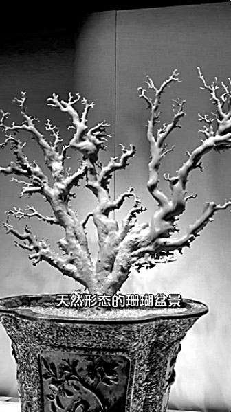 让文物有趣 让知识生动 让文物有趣 让知识生动