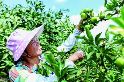 守住生态底线 建设美好家园——贵州黔南州坚持绿色发展见成效