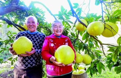 找准干事路子 绘出发展新景——重庆忠县新立镇在主题教育中着力提升为民服务成效