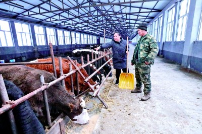 基层“点单” 人才“派送”——黑龙江“组团”选派干部人才助力兴边富民