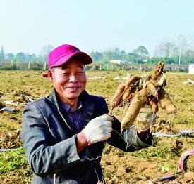 河南信阳羊山新区潘寨村：产业兴旺村和美