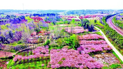 河南信阳羊山新区潘寨村：产业兴旺村和美