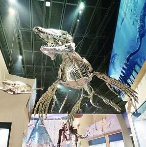 中国古动物馆(保定自然博物馆)开馆 中国古动物馆(保定自然博物馆)开馆