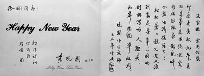 光明文化周末:杨柳春风过晓园 光明文化周末:杨柳春风过晓园