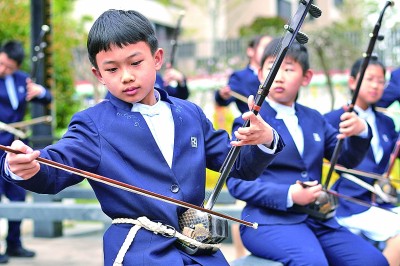 美的种子破土而出、向阳生长