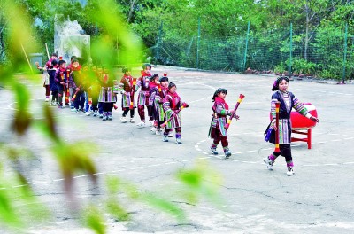 美的种子破土而出、向阳生长