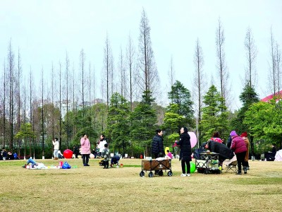 着眼身边“小事” 提升生活品质——四川天府新区在主题教育中解决群众急难愁盼 着眼身边“小事” 提升生活品质——四川天府新区在主题教育中解决群众急难愁盼