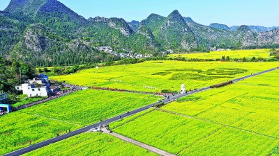 【大美中国】迎春