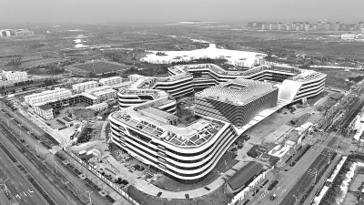 拔节生长 拔节生长