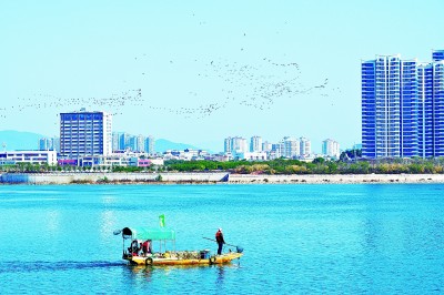 山水林湖连碧海 鹭岛潮起入画来(报告文学) 山水林湖连碧海 鹭岛潮起入画来(报告文学)