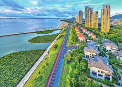 山水林湖连碧海 鹭岛潮起入画来(报告文学) 山水林湖连碧海 鹭岛潮起入画来(报告文学)