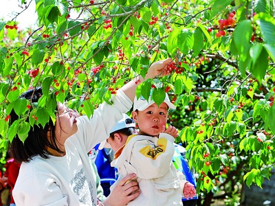 山东省青岛市西海岸新区杨家山里一村：村企携手村民富