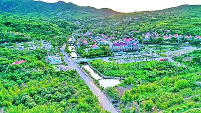 山东省青岛市西海岸新区杨家山里一村：村企携手村民富