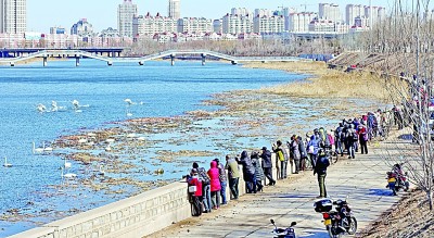 坚持治山治水治城一体推进