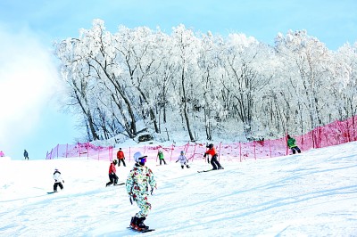 吉林省吉林市永吉县北大湖镇南沟村：从冰天雪地中获益