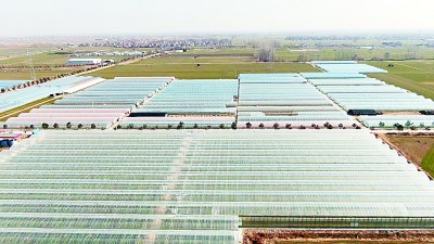 河南商丘睢县黄堂村:强产业助力民富村美 河南商丘睢县黄堂村:强产业助力民富村美