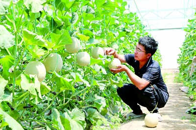 河南商丘睢县黄堂村:强产业助力民富村美 河南商丘睢县黄堂村:强产业助力民富村美