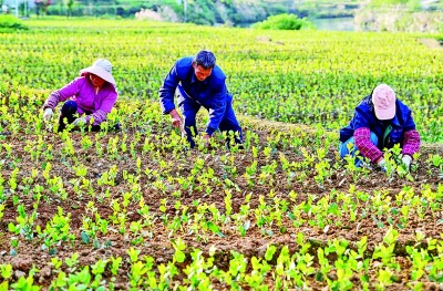 守护如画山水 建设精美县域