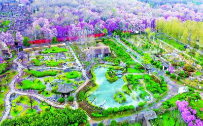 【大美中国】春花绚烂