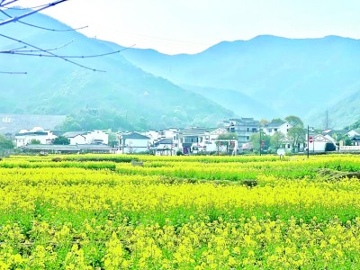 村落：栖居与守望