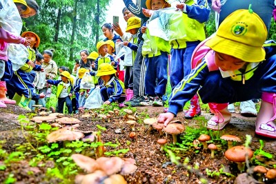 绘就“水清岸绿”的城市画卷——重庆在推进长江经济带绿色发展中扛起“上游责任”