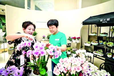 北京市丰台区玉泉营街道草桥村:花海铺就幸福路 北京市丰台区玉泉营街道草桥村:花海铺就幸福路