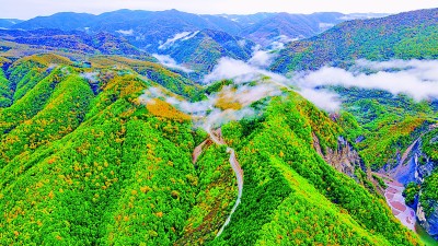 好山好水，有“颜”更有“值”——宁夏探索生态脆弱地区集体林权制度改革路径