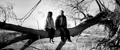 影视剧加强文学性渐成焦点 影视剧加强文学性渐成焦点