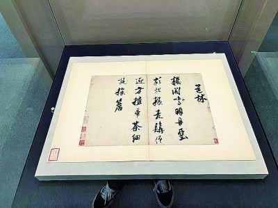 点滴寻风流 斑斓见东坡——海南省博物馆苏轼主题文物展走笔