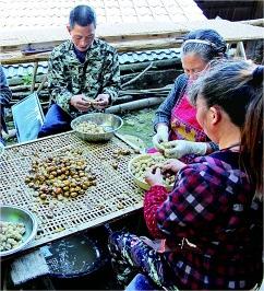 福建浦城县富岭镇双同村：山水引客 风景如画诗意浓