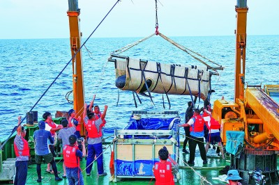 搁浅鲸豚救护，为何困难重重